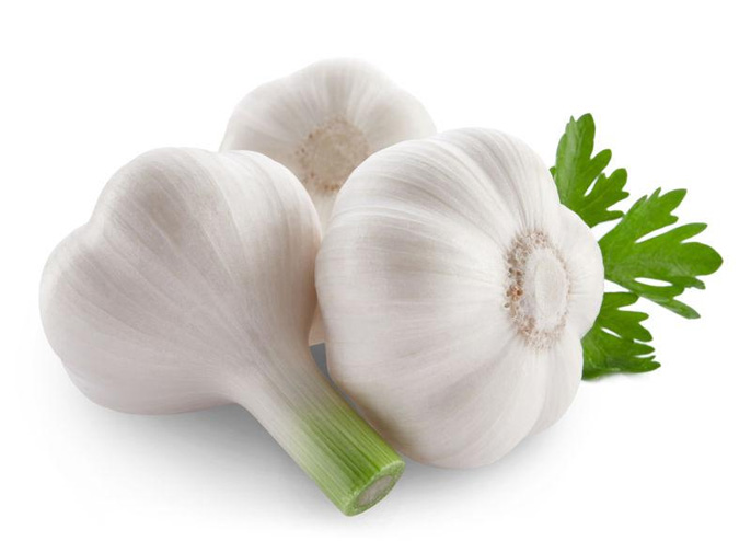 White Garlic