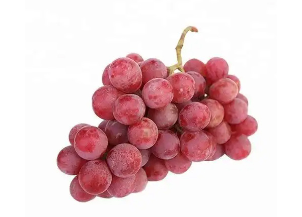 Red Globe Grapes